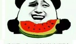 吃瓜带回家,揭秘瓜果美食的诱惑与魅力