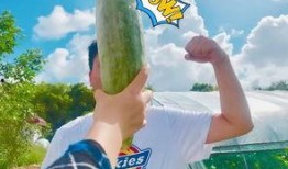 快乐网红吃瓜,揭秘娱乐圈幕后真相