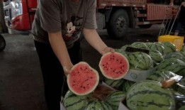 宝山丽丽吃瓜,瓜田里的美食探索之旅