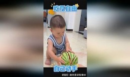 萌娃吃瓜队伍,欢乐吃瓜队伍大揭秘！