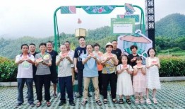 马山吃瓜,揭秘网络热点的背后故事