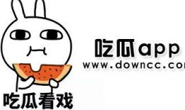 吃瓜黑料入口,吃瓜黑料背后的真相与反思