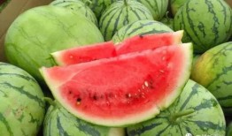 王家吃瓜,揭秘娱乐圈背后的真实故事