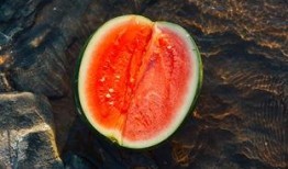 雨眠吃瓜,揭秘瓜圈那些事儿