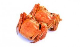 吃瓜可以吃蟹子吗,吃瓜也能共享？揭秘吃瓜与蟹子的奇妙搭配