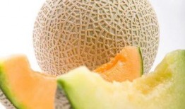 河职吃瓜哈密瓜,揭秘哈密瓜的甜蜜诱惑
