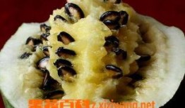 吃籽瓜的周记,我与籽瓜的甜蜜邂逅