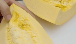 吃瓜不用切,美味尽享——吃瓜不用切，轻松畅享夏日清凉