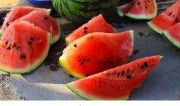 瓜田吃瓜美文,品味人生百态