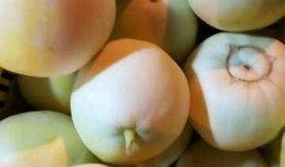 吃瓜视频大全蜜瓜,吃瓜视频大全中的甜蜜诱惑