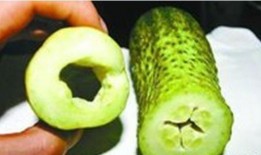 空心瓜可以吃嘛,美味与健康的双重享受