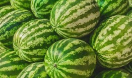 校园里吃瓜,揭秘校园里的那些“秘密”