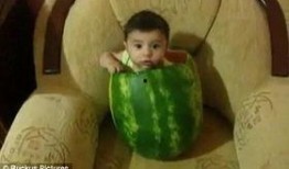 儿童吃瓜啦视频,趣味互动，快乐成长瞬间