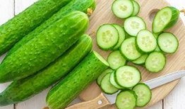 吃瓜红蓝菌,探寻神秘生物的奥秘与魅力