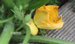 和小源吃瓜,揭秘娱乐圈那些不为人知的幕后故事