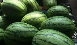 吃瓜网16,热点事件背后的真相与内幕