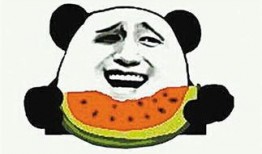 吃瓜群众会吃什么瓜,揭秘瓜界美食盛宴