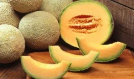 羊肉吃后吃哈密瓜,美味搭配的禁忌解析