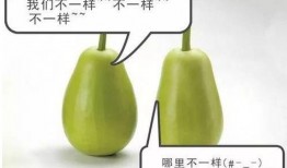 染安吃瓜,揭秘娱乐圈背后的那些事儿