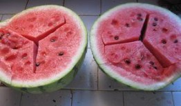 空心瓜可以吃嘛,美味与健康的双重享受