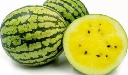 微山的吃瓜,探寻微山特色美食之旅