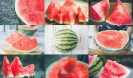 谷山吃瓜长沙,长沙美食探秘之旅