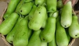 吃葫芦瓜喝茶,消暑解渴的夏日饮品新宠