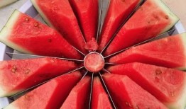 涪陵吃瓜大赛,一场吃瓜大赛的欢乐盛宴