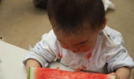 唐僧吃瓜,一场穿越时空的美食探险