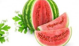 清妍吃瓜,揭秘娱乐圈那些不为人知的幕后故事