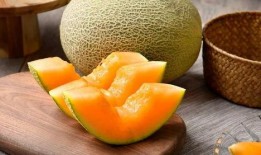 马帮吃哈密瓜的视频,哈密瓜之旅