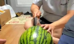 吃瓜都在现场,揭秘娱乐圈最新热点事件