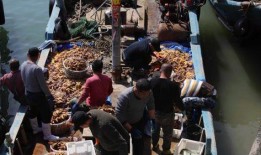 台湾吃瓜渔民视频,揭秘海上生活点滴