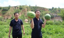 王家吃瓜,揭秘娱乐圈背后的真实故事