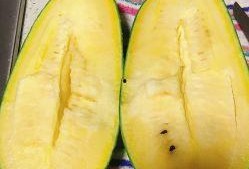 林皮皮吃瓜,揭秘娱乐圈幕后故事