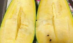 林皮皮吃瓜,揭秘娱乐圈幕后故事