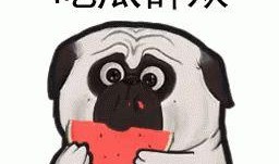 黑心商家带你吃瓜,带你走进“吃瓜”背后的真相