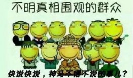 飞天喵与吃瓜群众,一场趣味横生的奇幻之旅