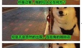 赣医吃瓜,揭秘校园里的那些“瓜”