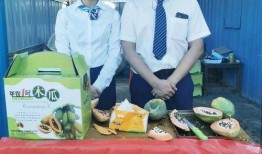 吃瓜厨商直播,揭秘美食背后的故事与商机