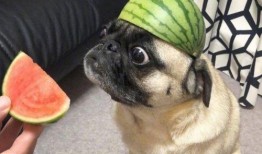 吃瓜手滑,意外曝光娱乐圈惊天秘密