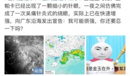 吃瓜头像封面图片大全,海量吃瓜头像封面图片大盘点