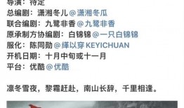 理性吃瓜即兴评述,洞察娱乐圈风云变幻