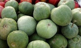 可以直接吃的瓜叫什么瓜,可直接食用的美味瓜类大盘点