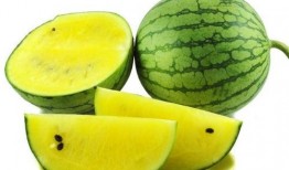 吃瓜网蔡金发黄,蔡金发黄生成背后的故事