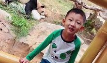 猴王吃瓜视频,瓜果盛宴欢乐多