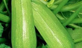 吃瓜青蓝,揭秘娱乐圈的甜蜜与苦涩