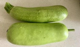 常熟立秋吃瓜,常熟瓜果飘香，传统习俗传承千年