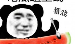 吃瓜共举,揭秘娱乐圈背后的故事与真相