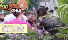 吃瓜少女小寒,揭秘娱乐圈背后的故事